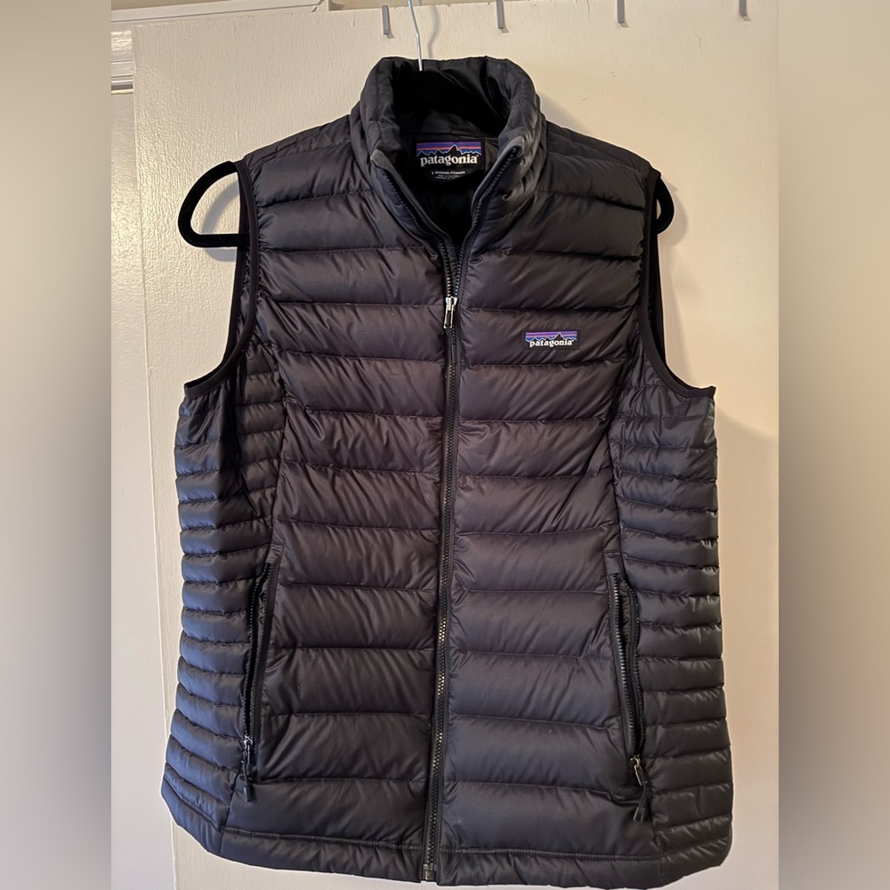 Patagonia Dark Puffer Vest